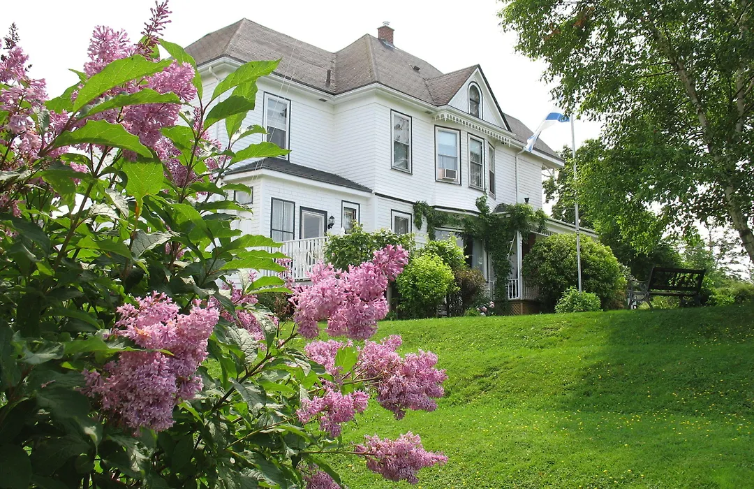 The Nelson House Bed And Breakfast-1
