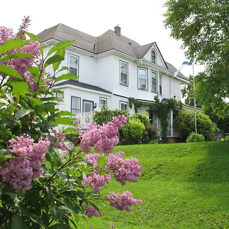 The Nelson House Bed And Breakfast-2